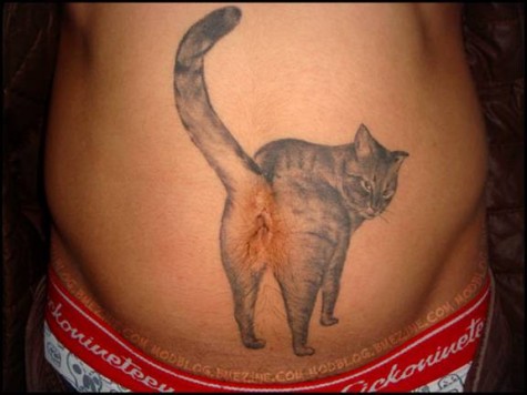 tattooed penis. tattoo on penis.